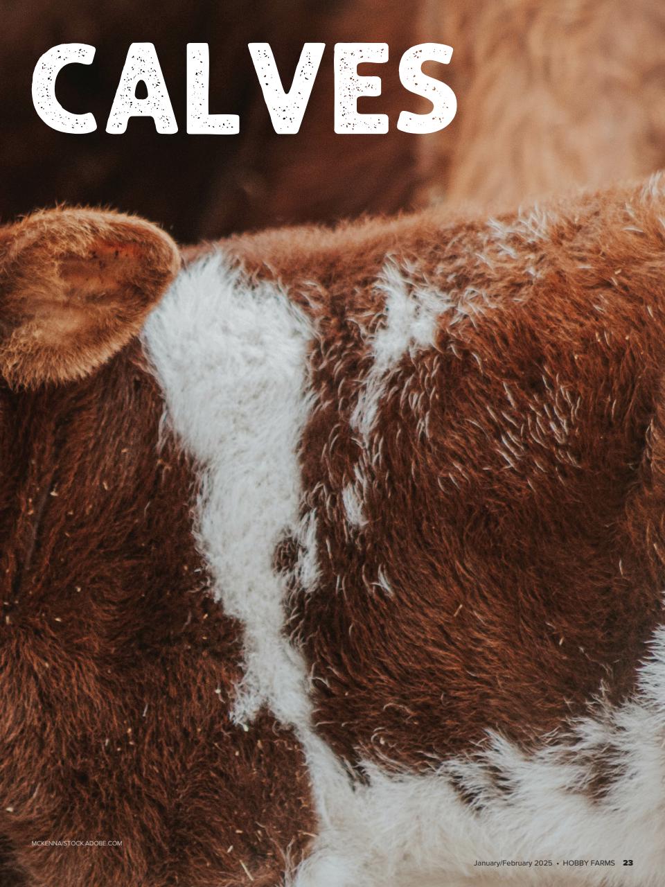 Hobby Farms Magazine Preview Pages