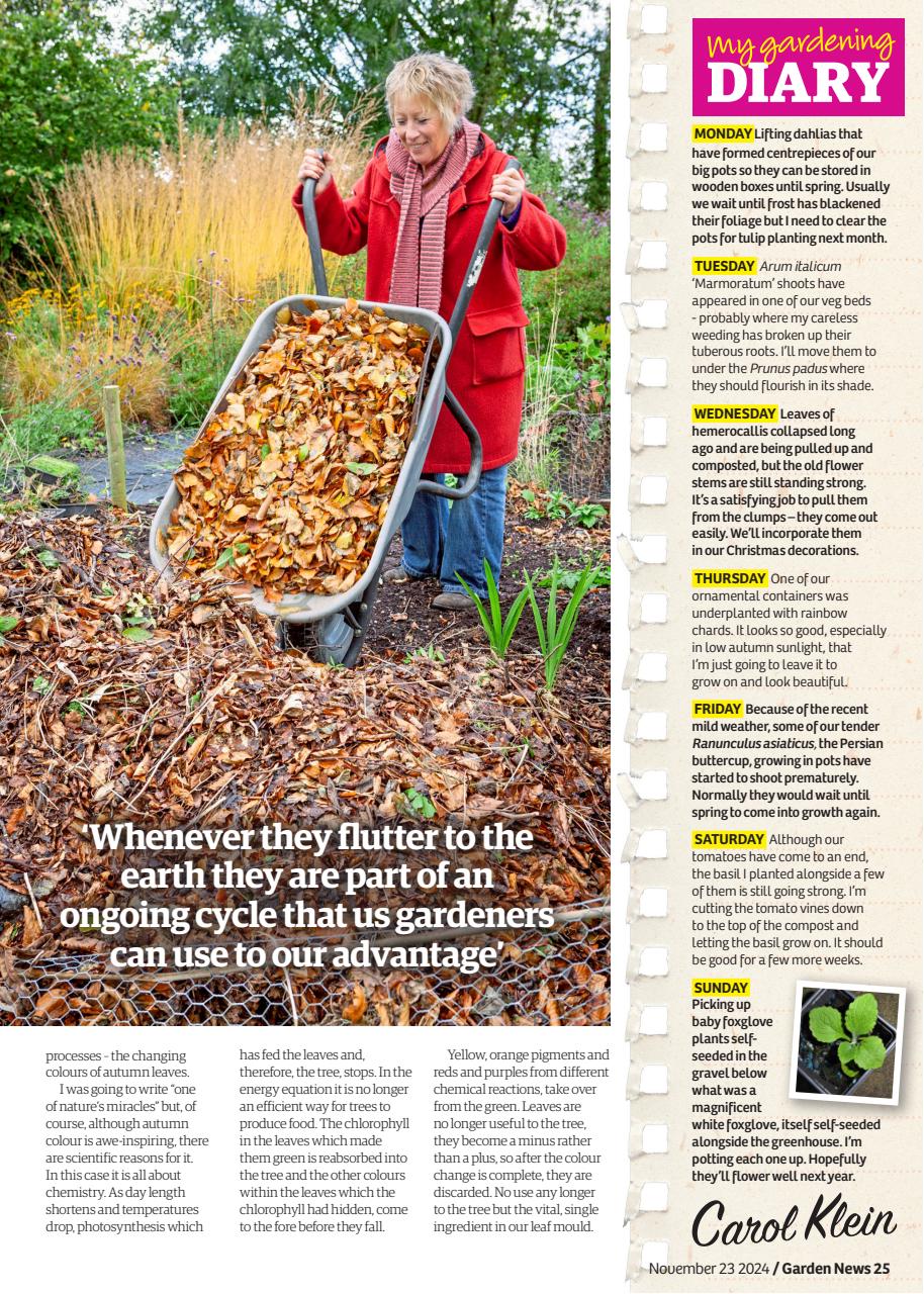 Garden News Preview Pages