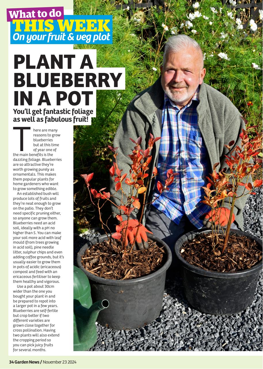 Garden News Preview Pages