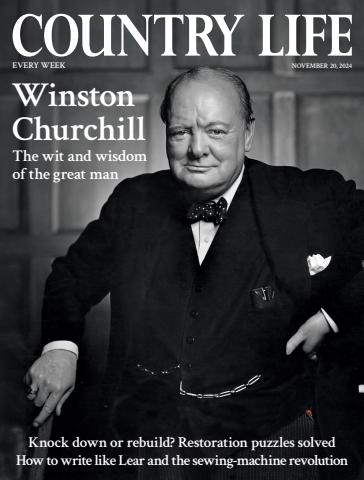 Country Life issue 20th November 2024