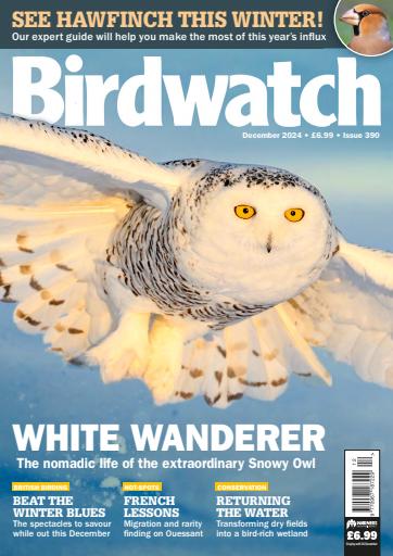 Birdwatch Magazine issue 