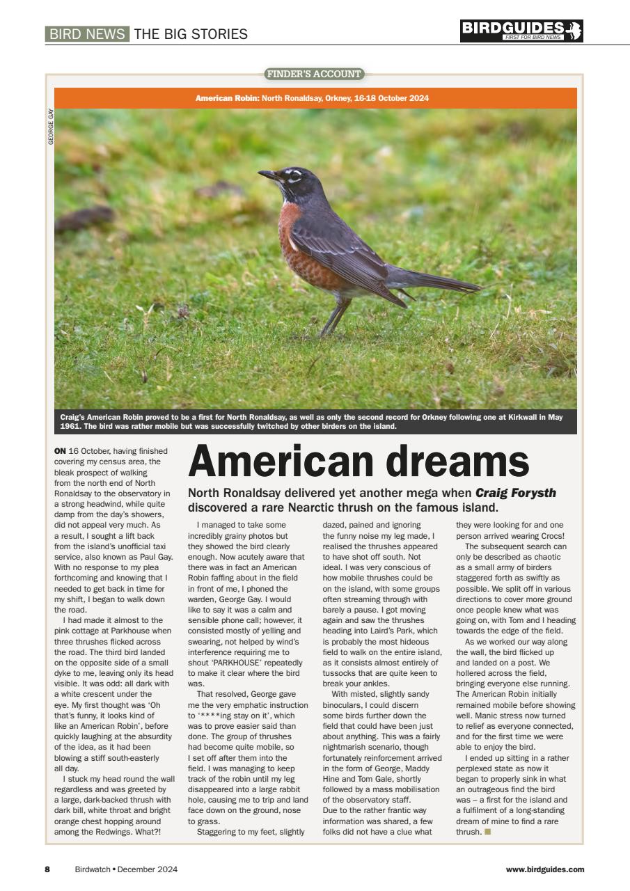 Birdwatch Magazine Preview Pages