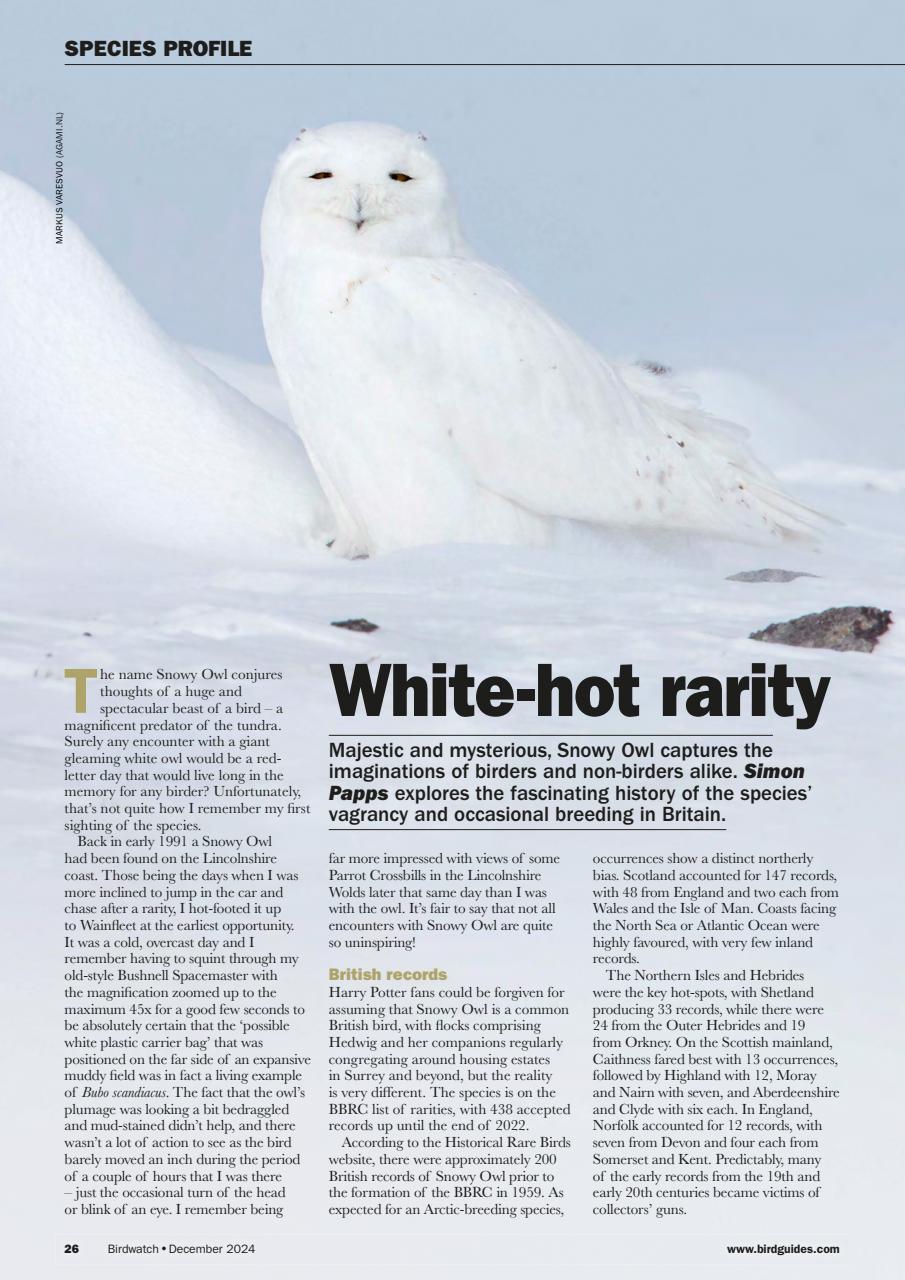 Birdwatch Magazine Preview Pages
