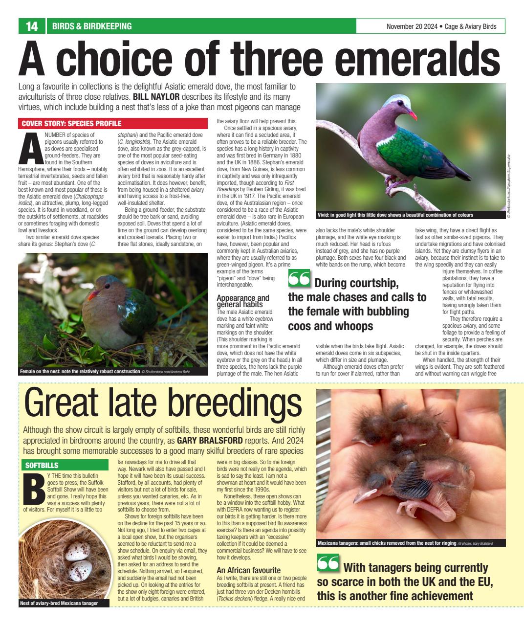 Cage & Aviary Birds Preview Pages