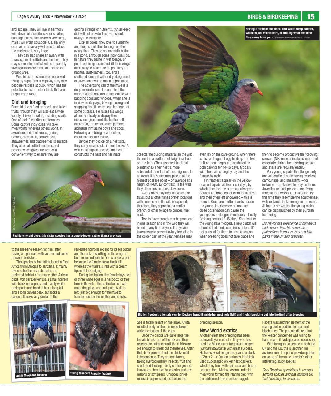 Cage & Aviary Birds Preview Pages