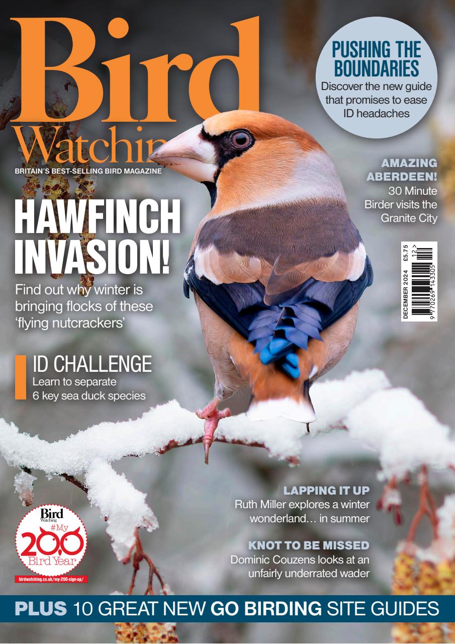 Bird Watching Preview Pages