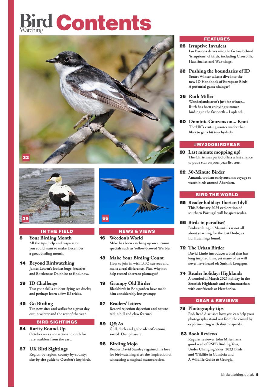 Bird Watching Preview Pages