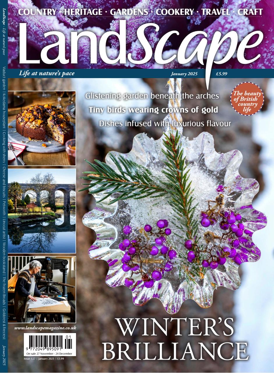 LandScape Preview Pages