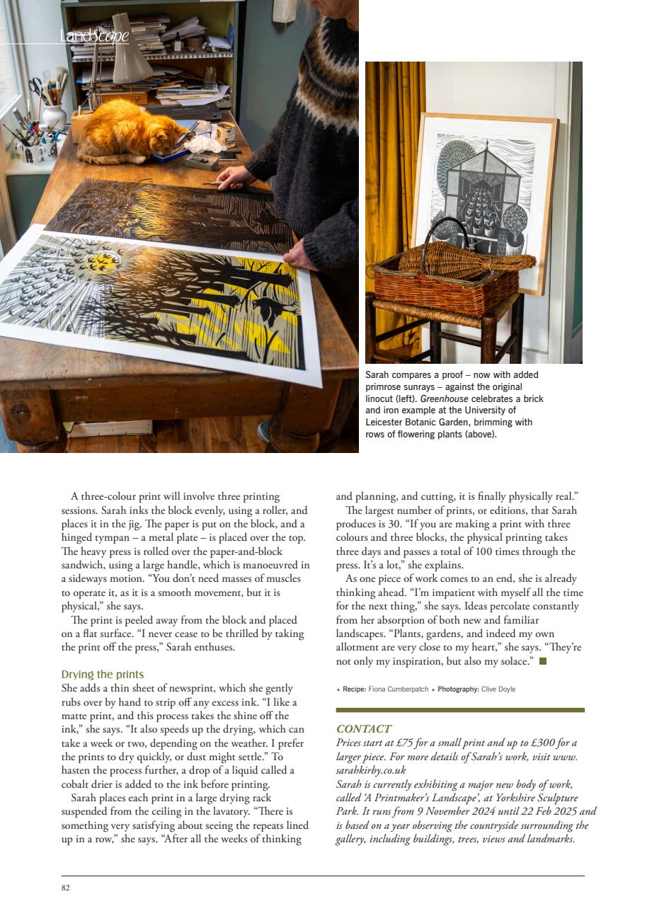 LandScape Preview Pages