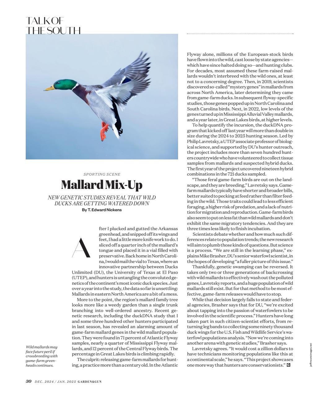 Garden and Gun Magazine Preview Pages