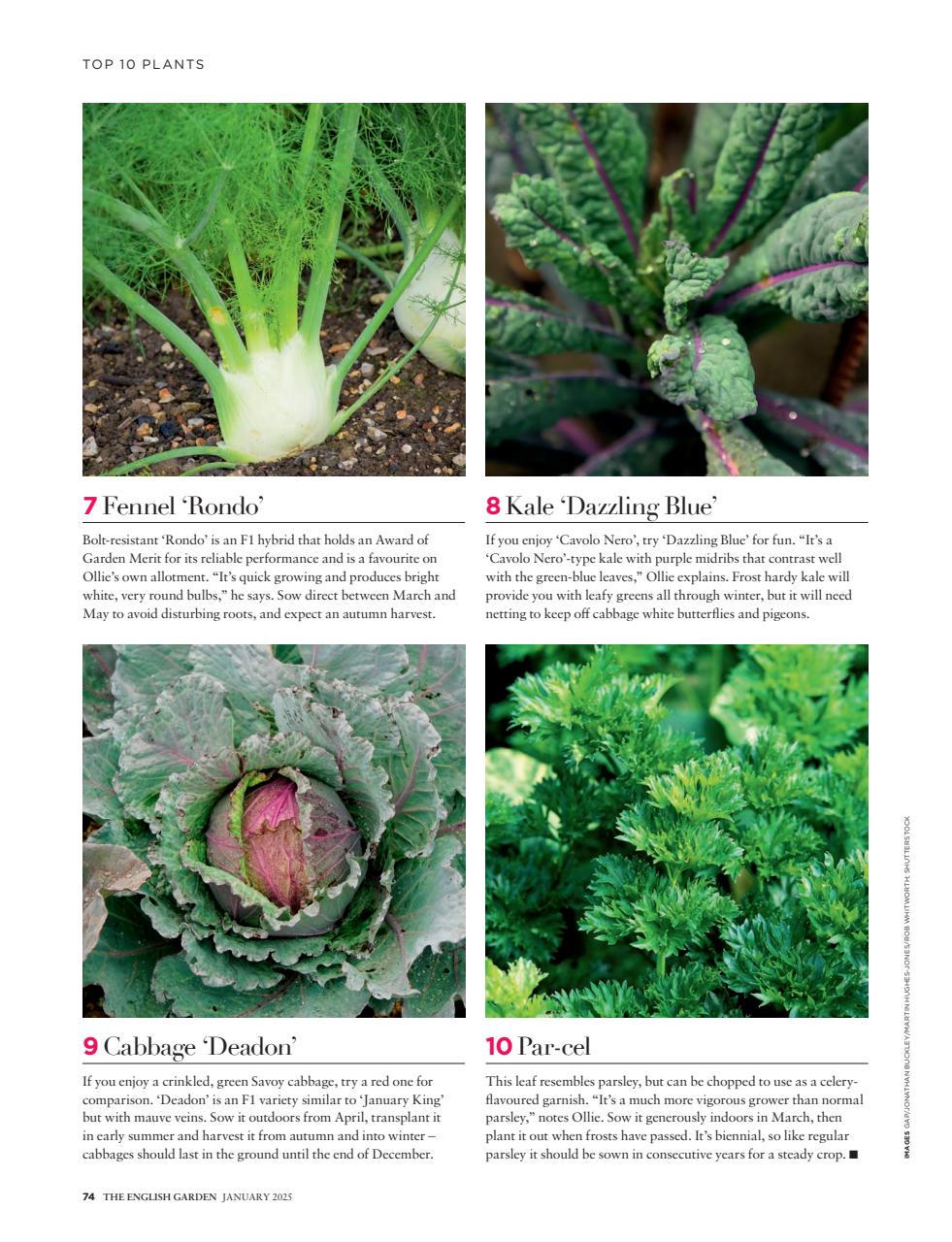 The English Garden Preview Pages