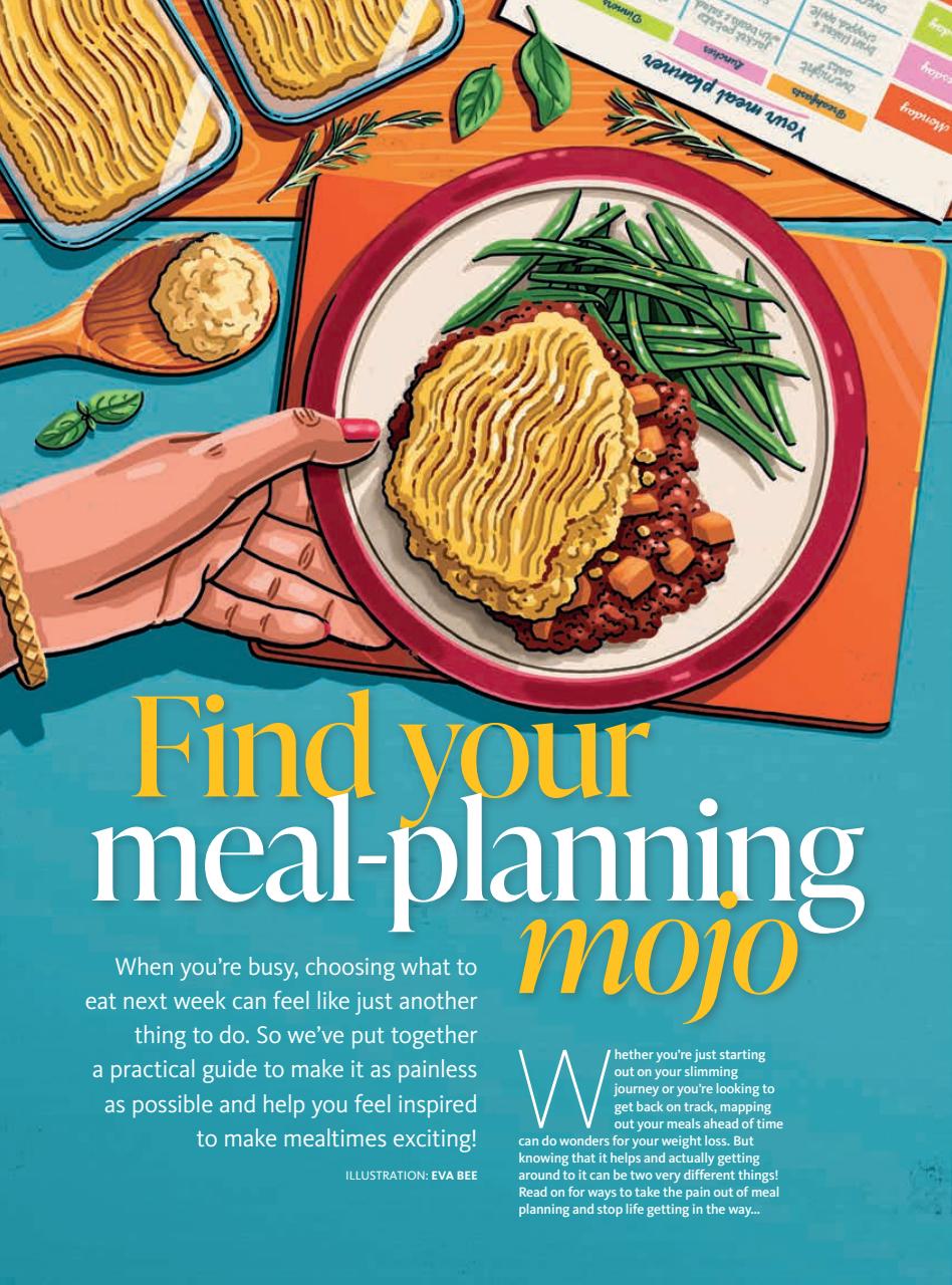 Slimming World Preview Pages