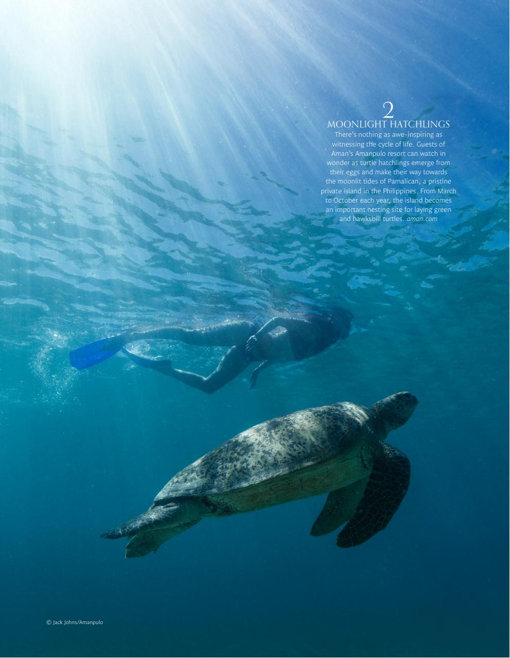 Signature Luxury Travel & Style Preview Pages