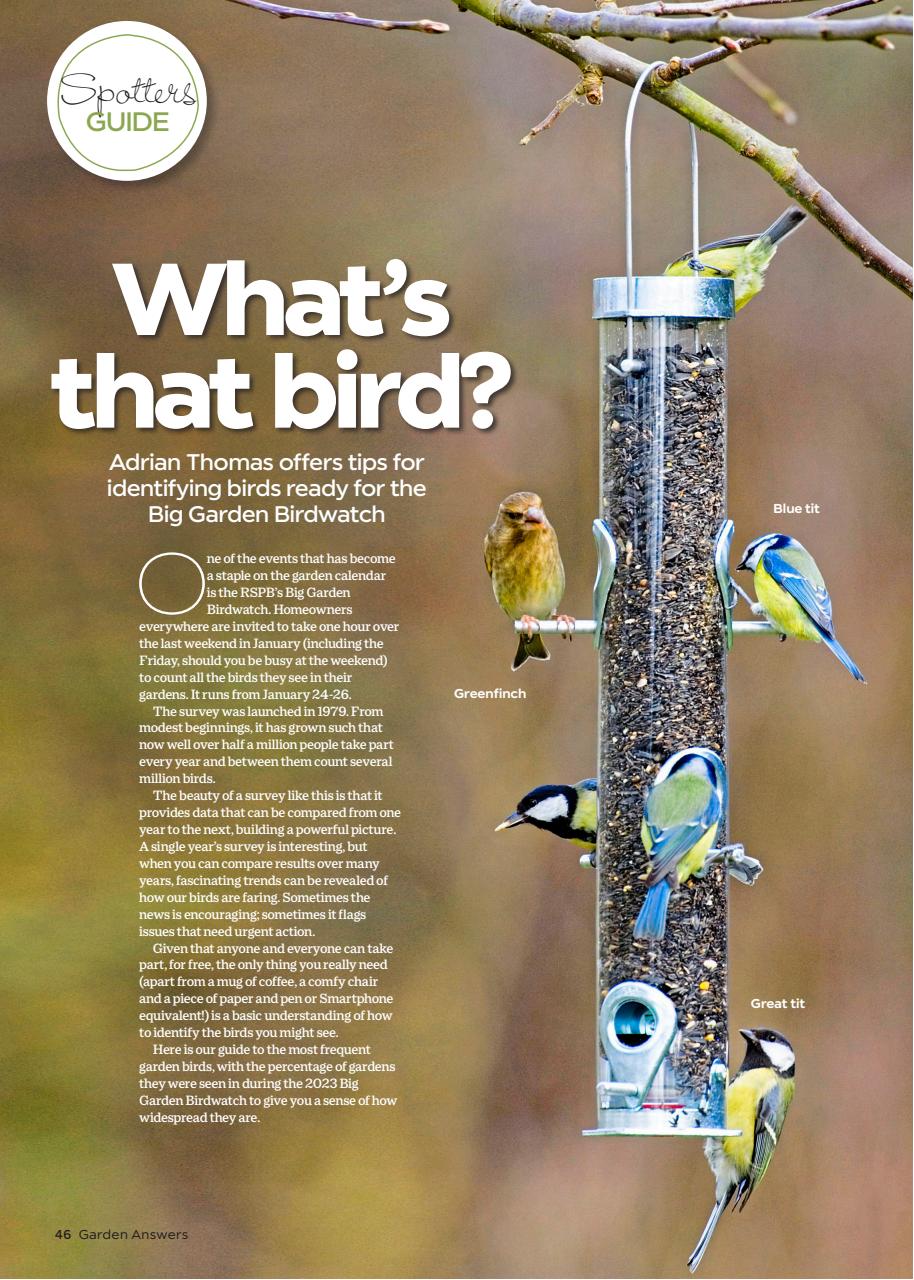 Garden Answers Preview Pages