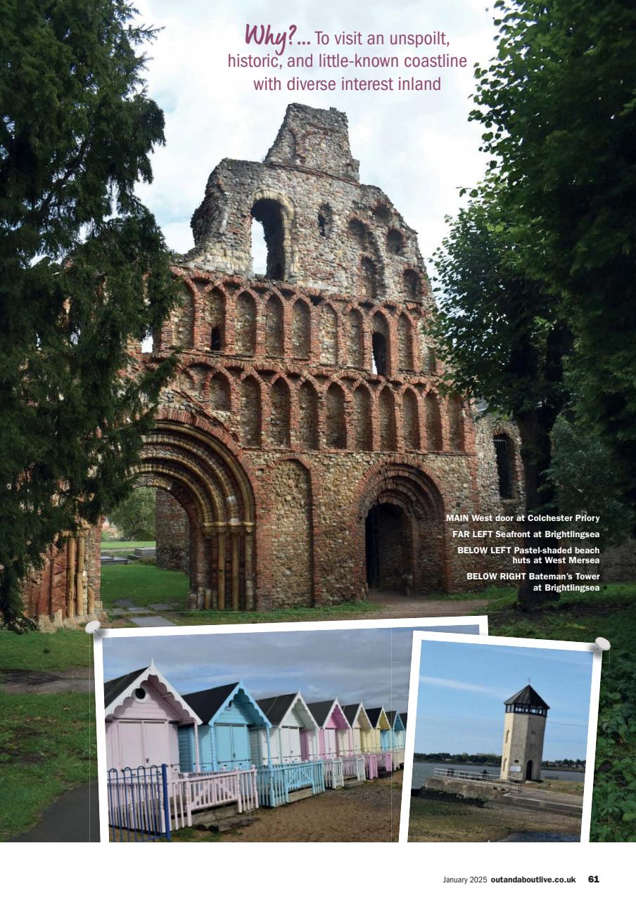 MMM magazine Preview Pages