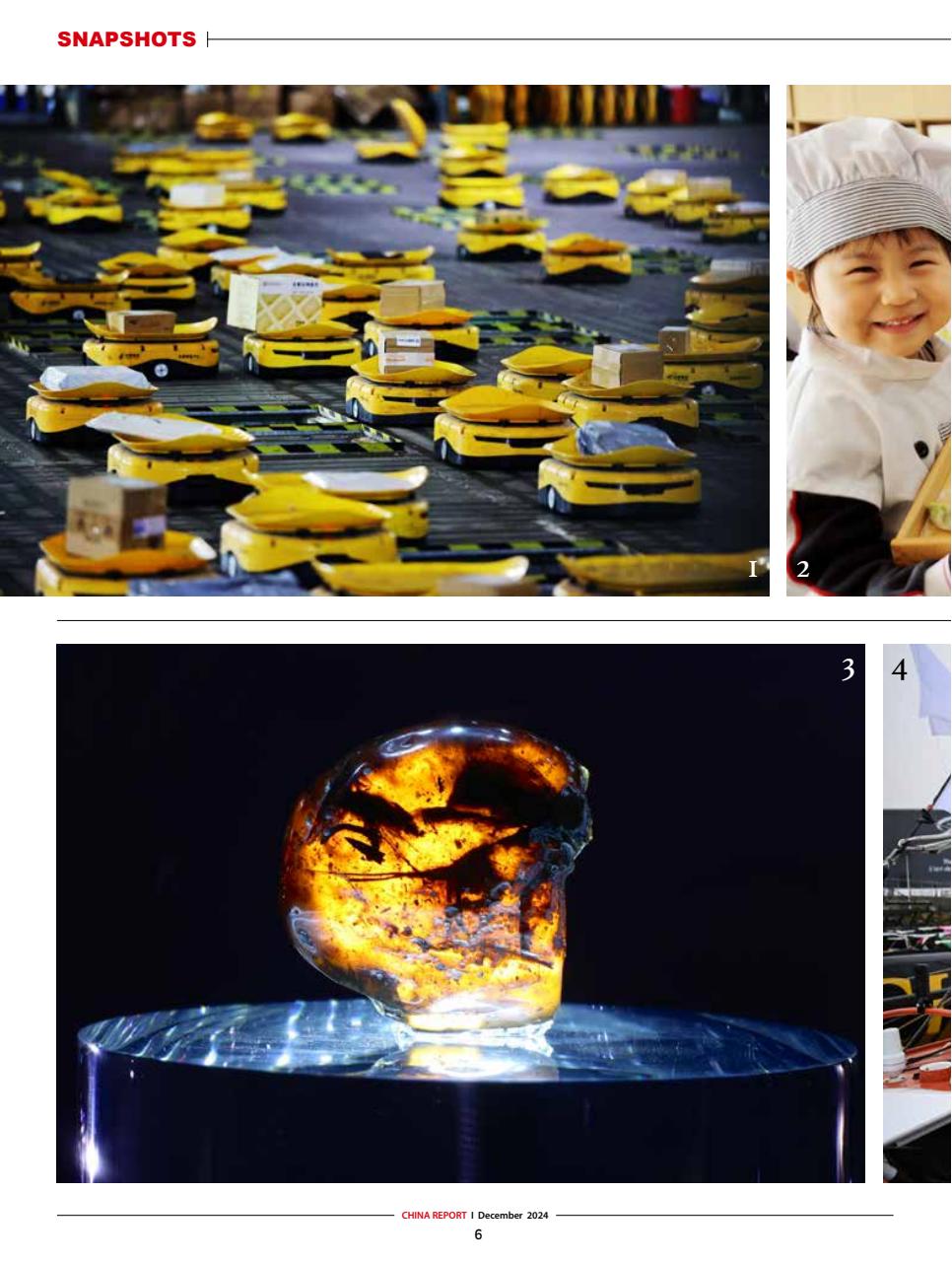 China Report Preview Pages