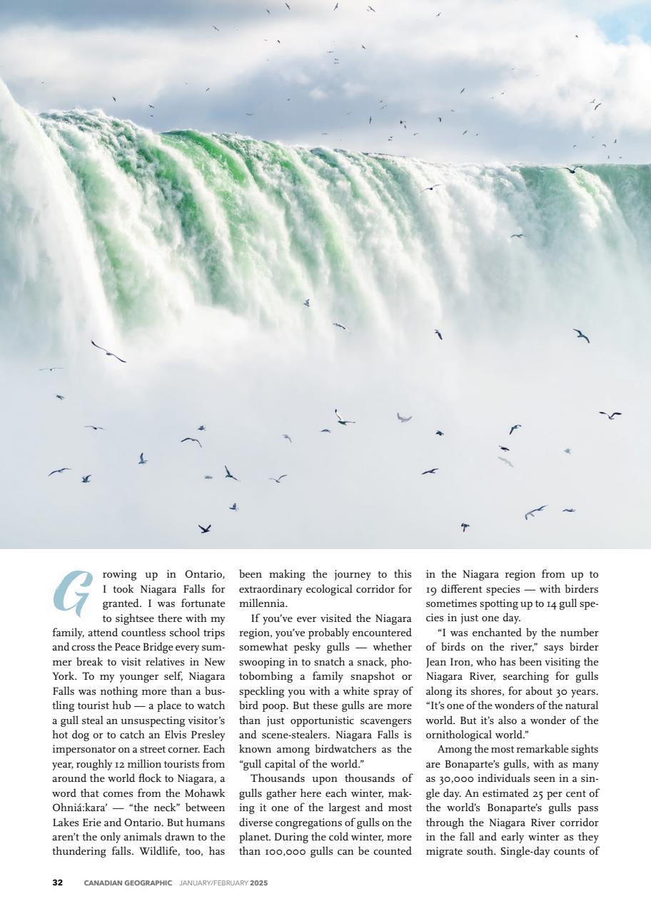 Canadian Geographic Preview Pages