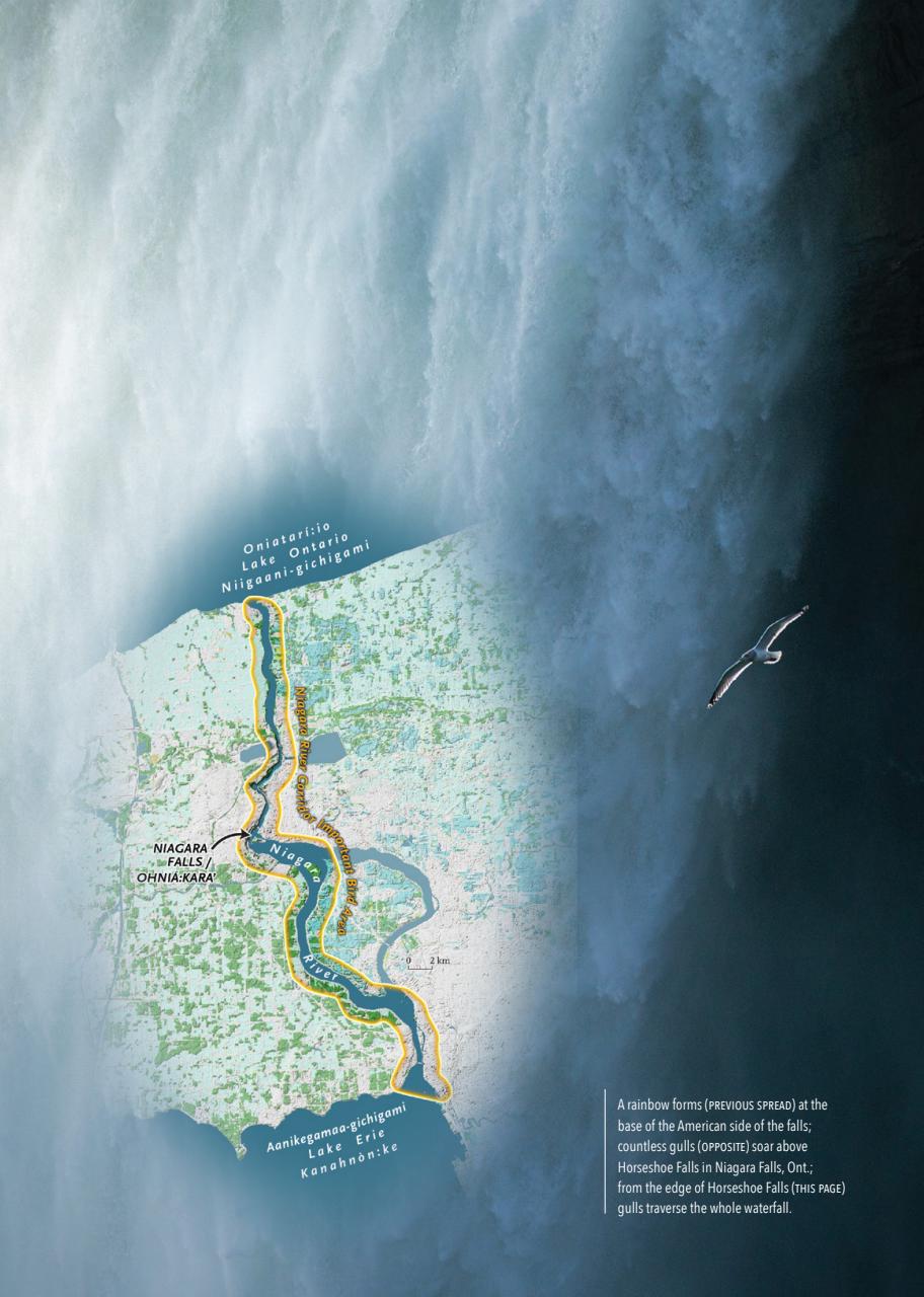 Canadian Geographic Preview Pages