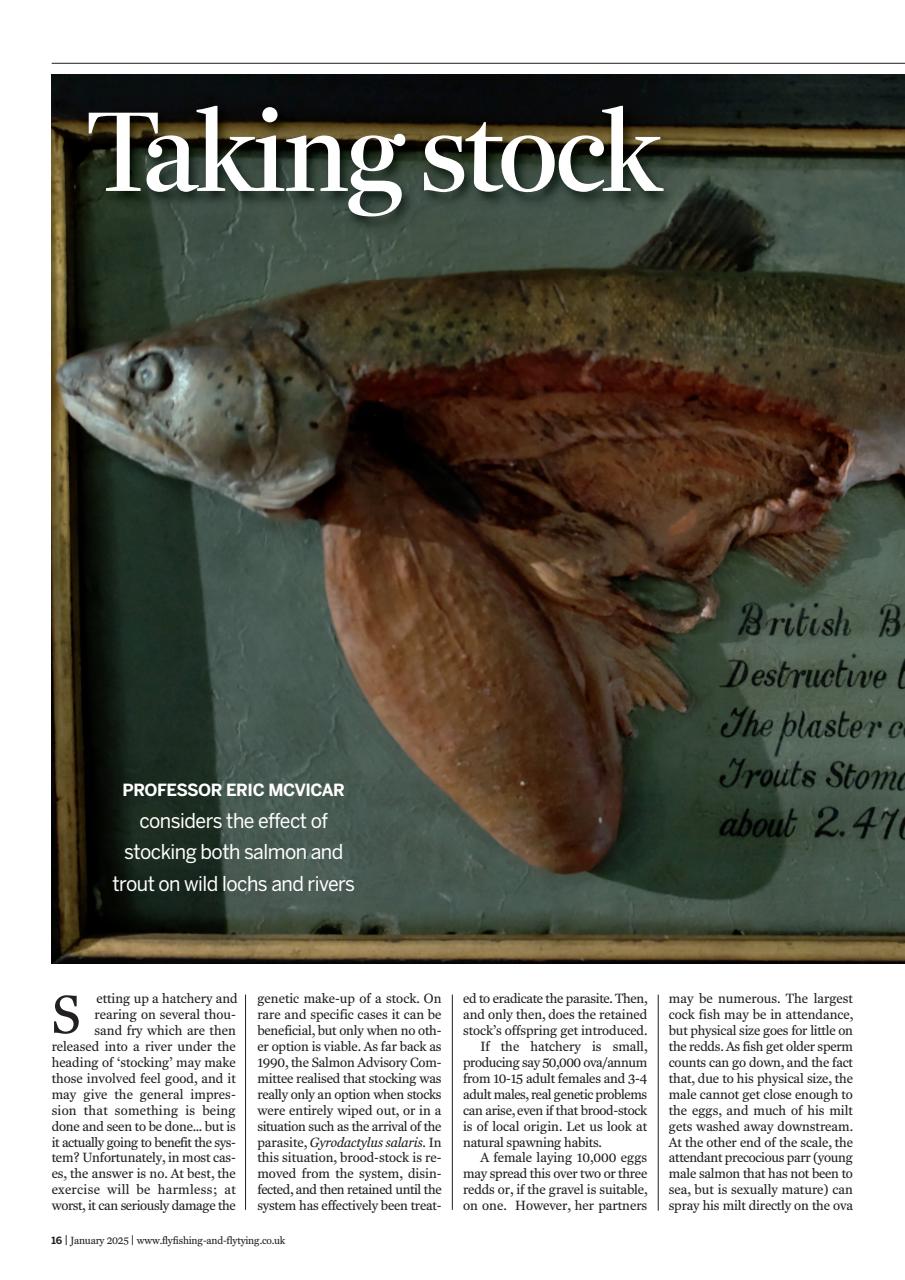 Fly Fishing and Fly Tying Preview Pages