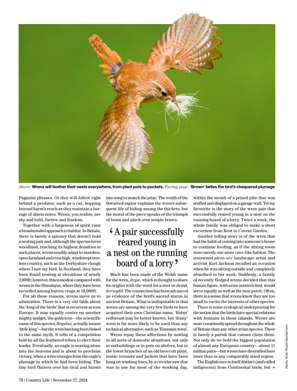 Country Life Preview Pages