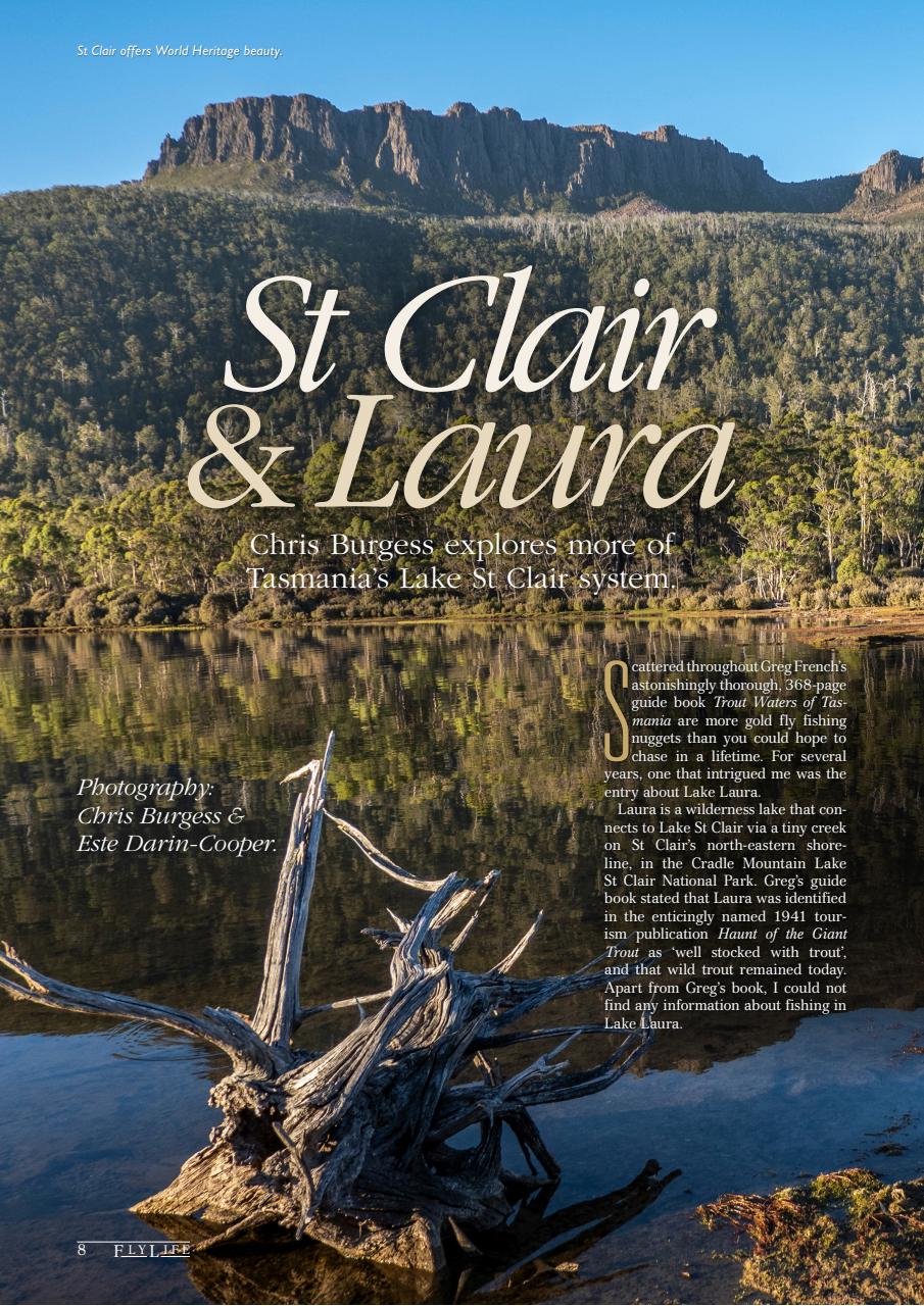 FlyLife Preview Pages