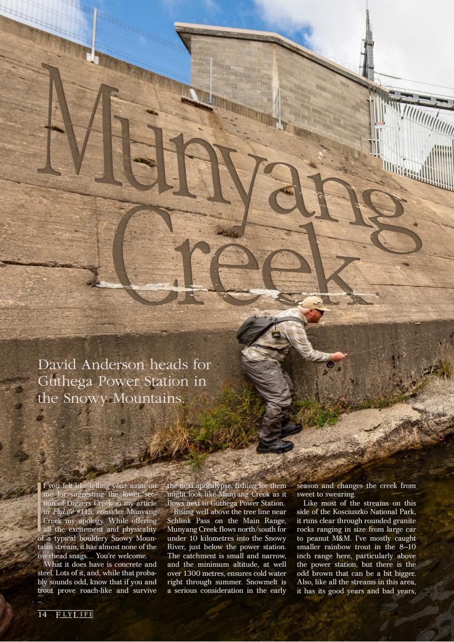 FlyLife Preview Pages