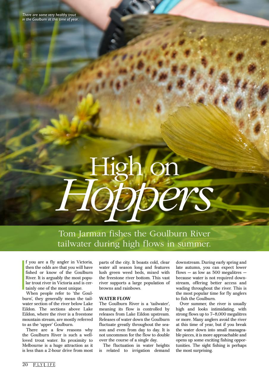 FlyLife Preview Pages