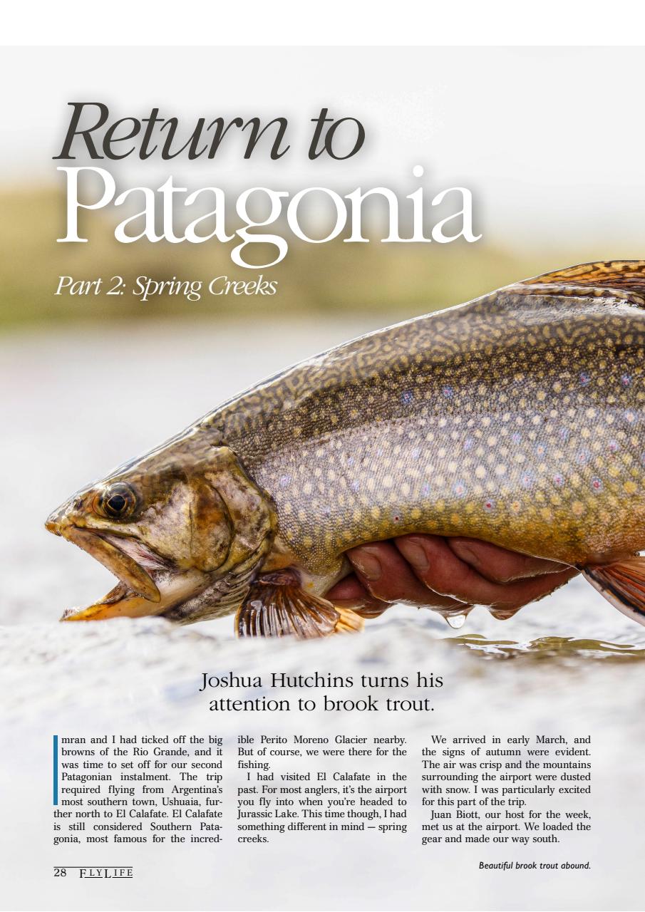 FlyLife Preview Pages