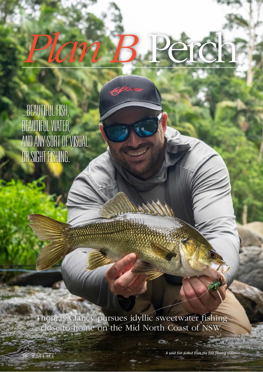 FlyLife Preview Pages