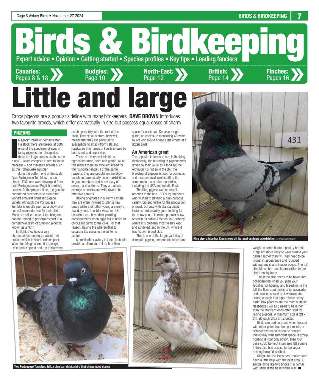 Cage & Aviary Birds Preview Pages