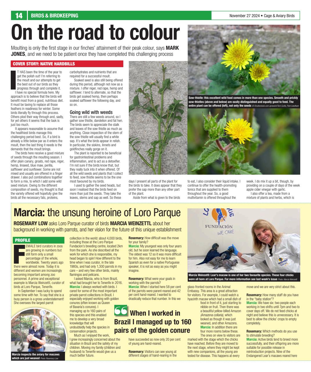 Cage & Aviary Birds Preview Pages