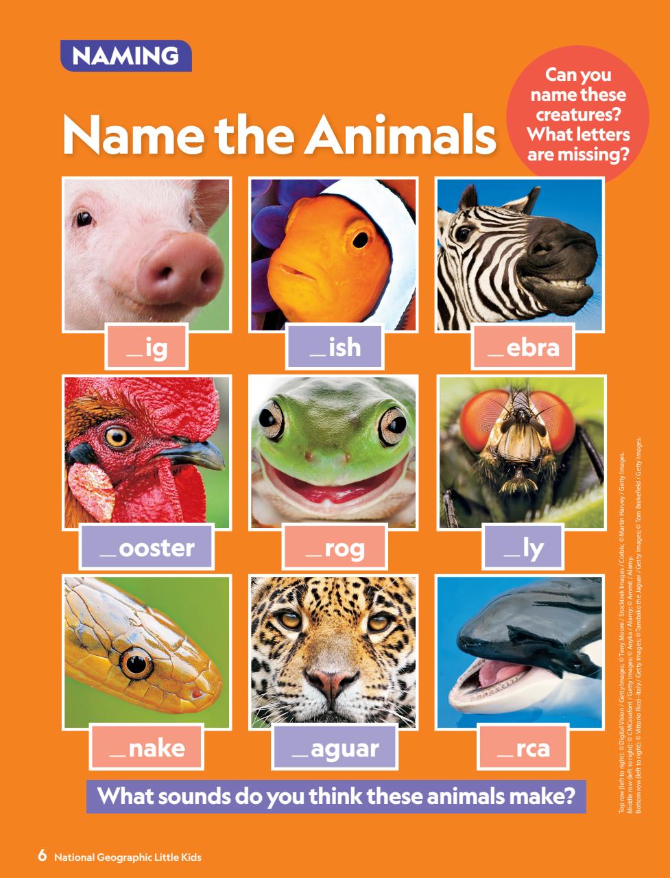 National Geographic Little Kids Preview Pages