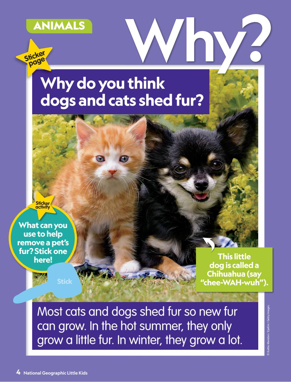 National Geographic Little Kids Preview Pages