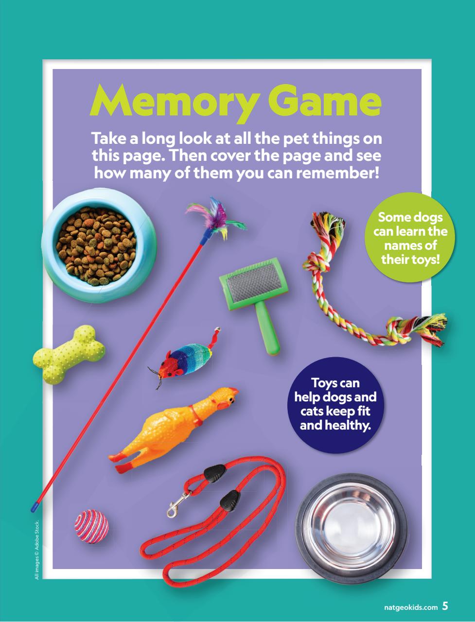 National Geographic Little Kids Preview Pages