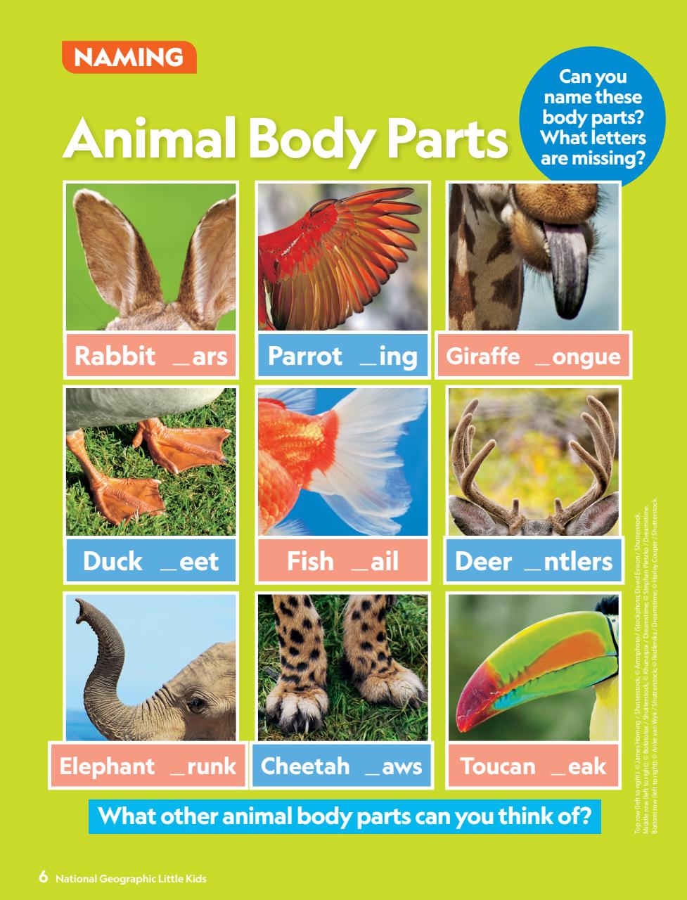 National Geographic Little Kids Preview Pages