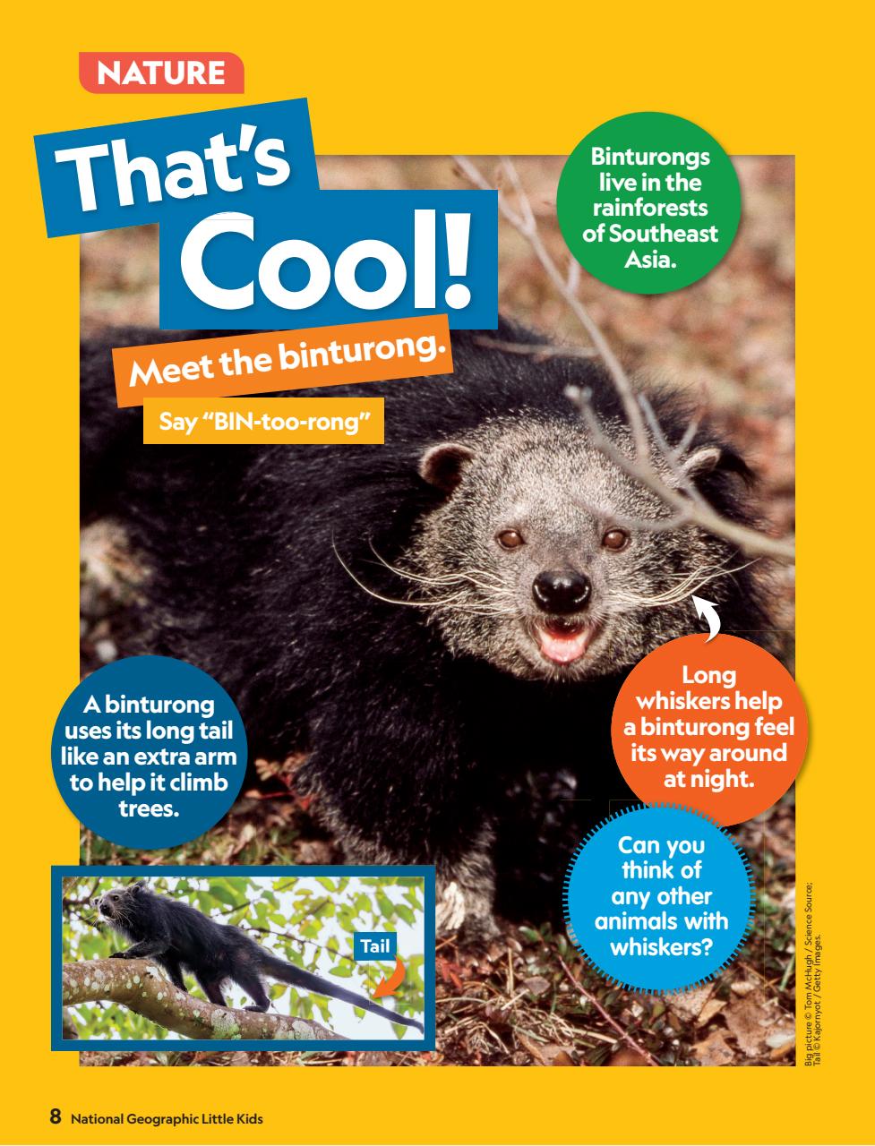 National Geographic Little Kids Preview Pages