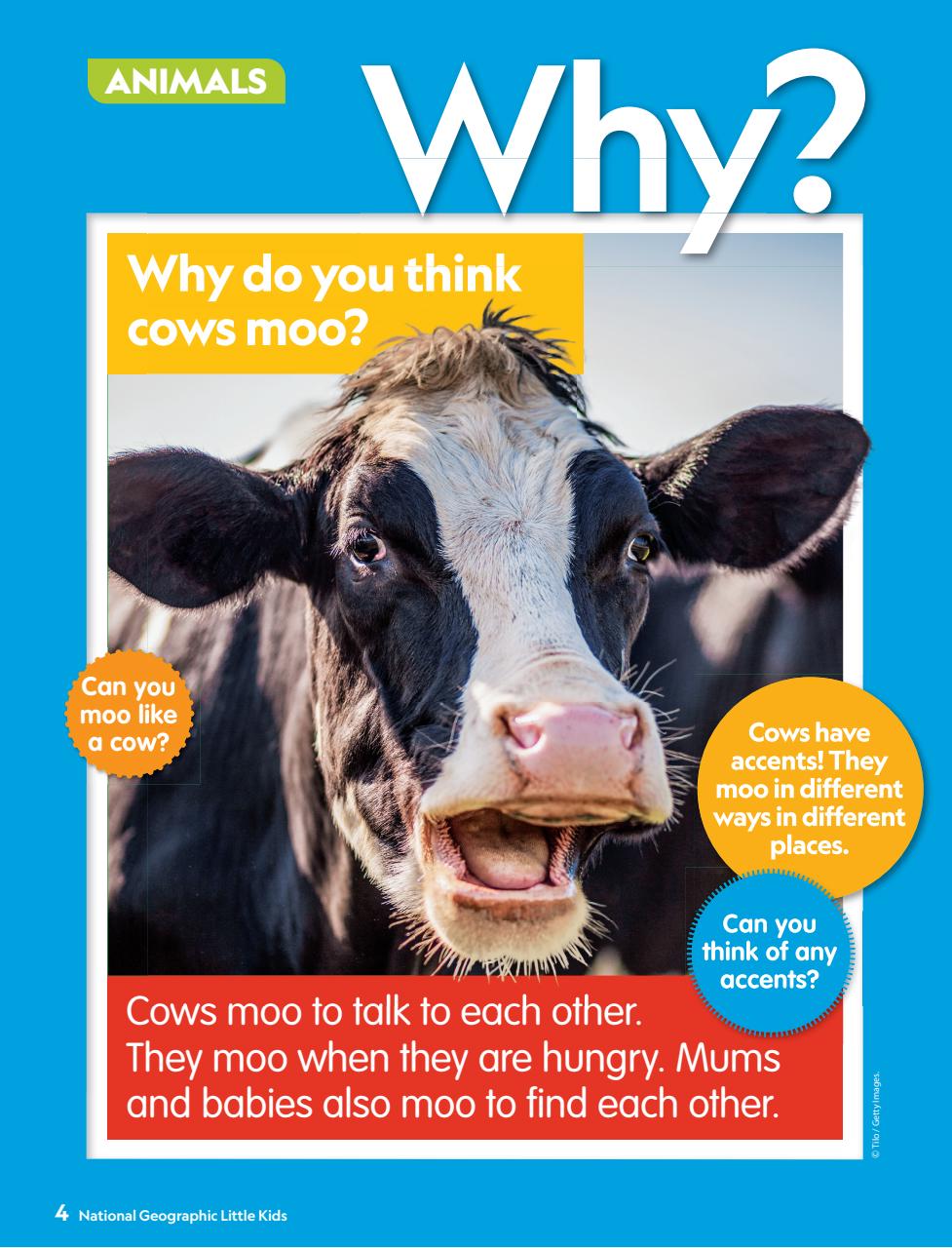 National Geographic Little Kids Preview Pages