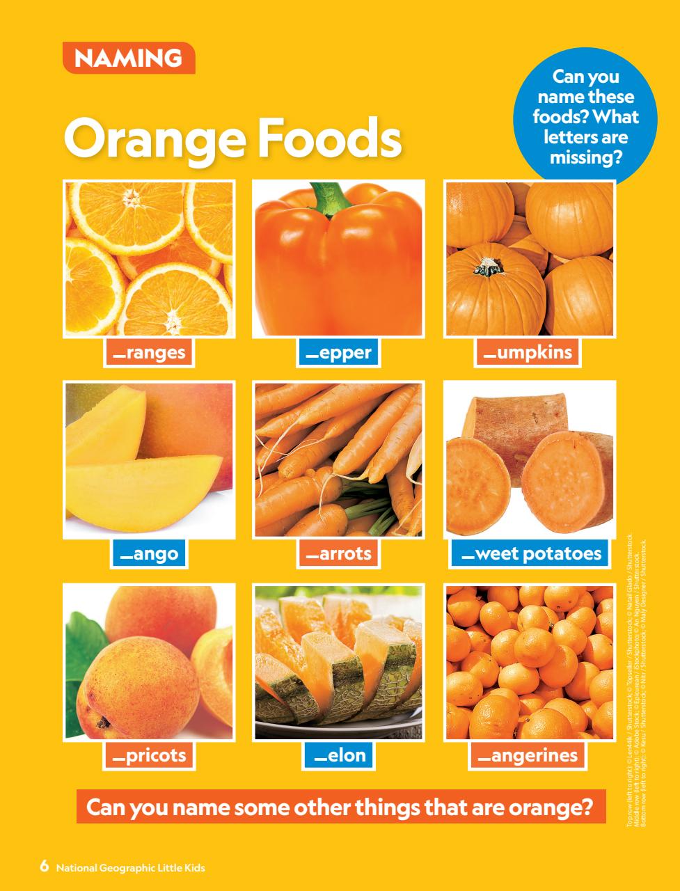 National Geographic Little Kids Preview Pages