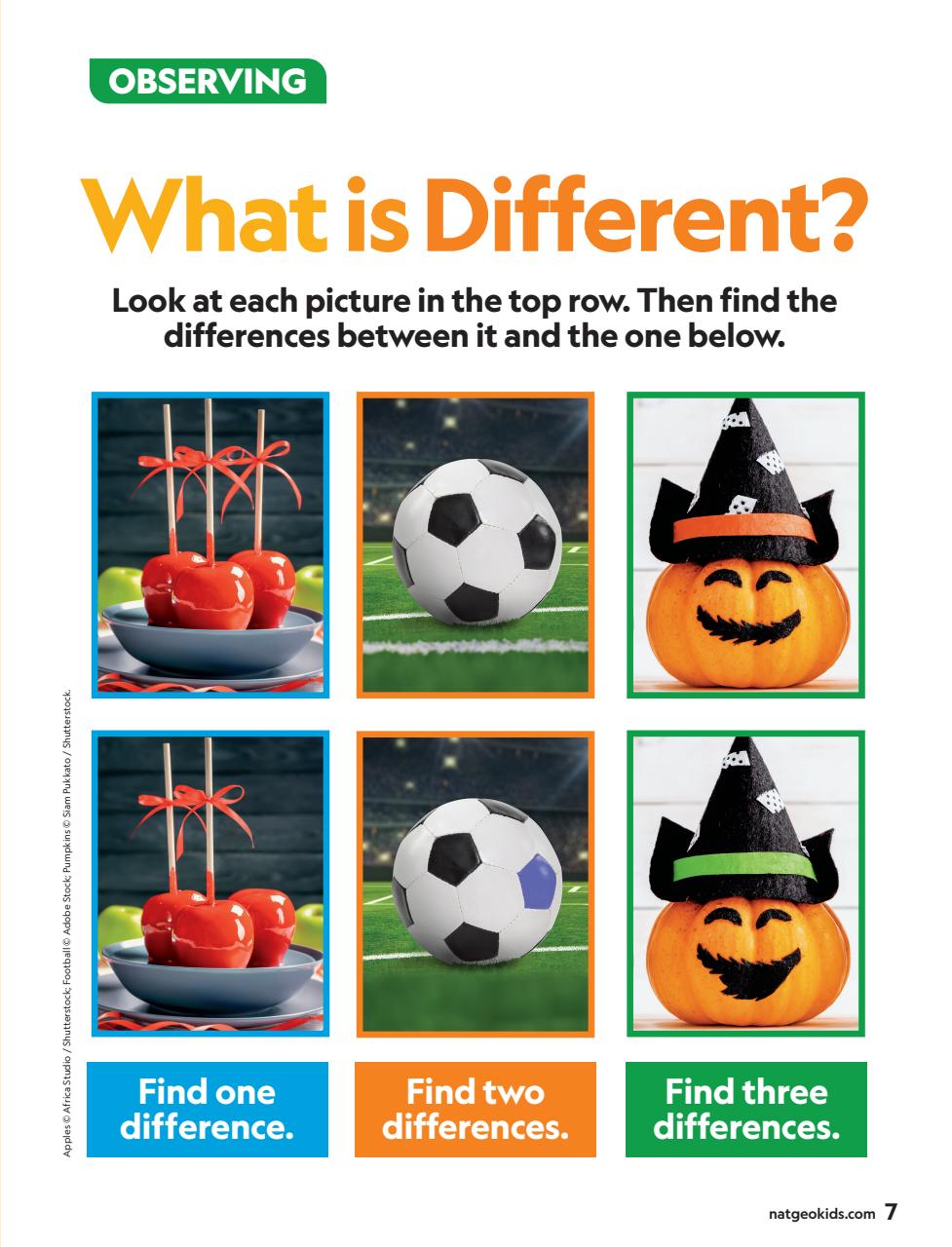 National Geographic Little Kids Preview Pages