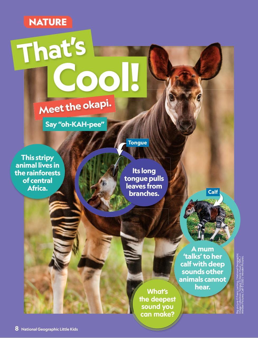 National Geographic Little Kids Preview Pages