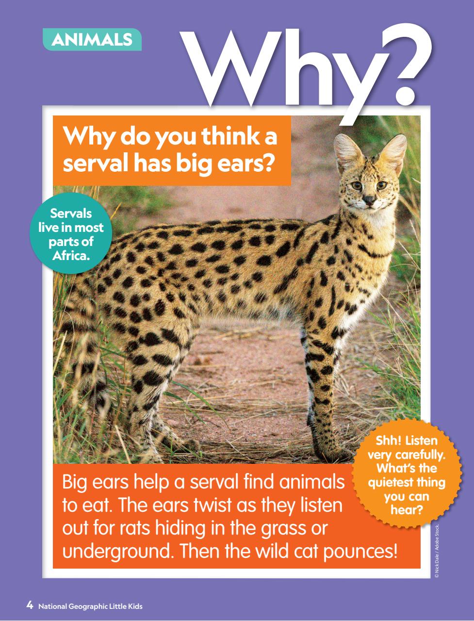 National Geographic Little Kids Preview Pages