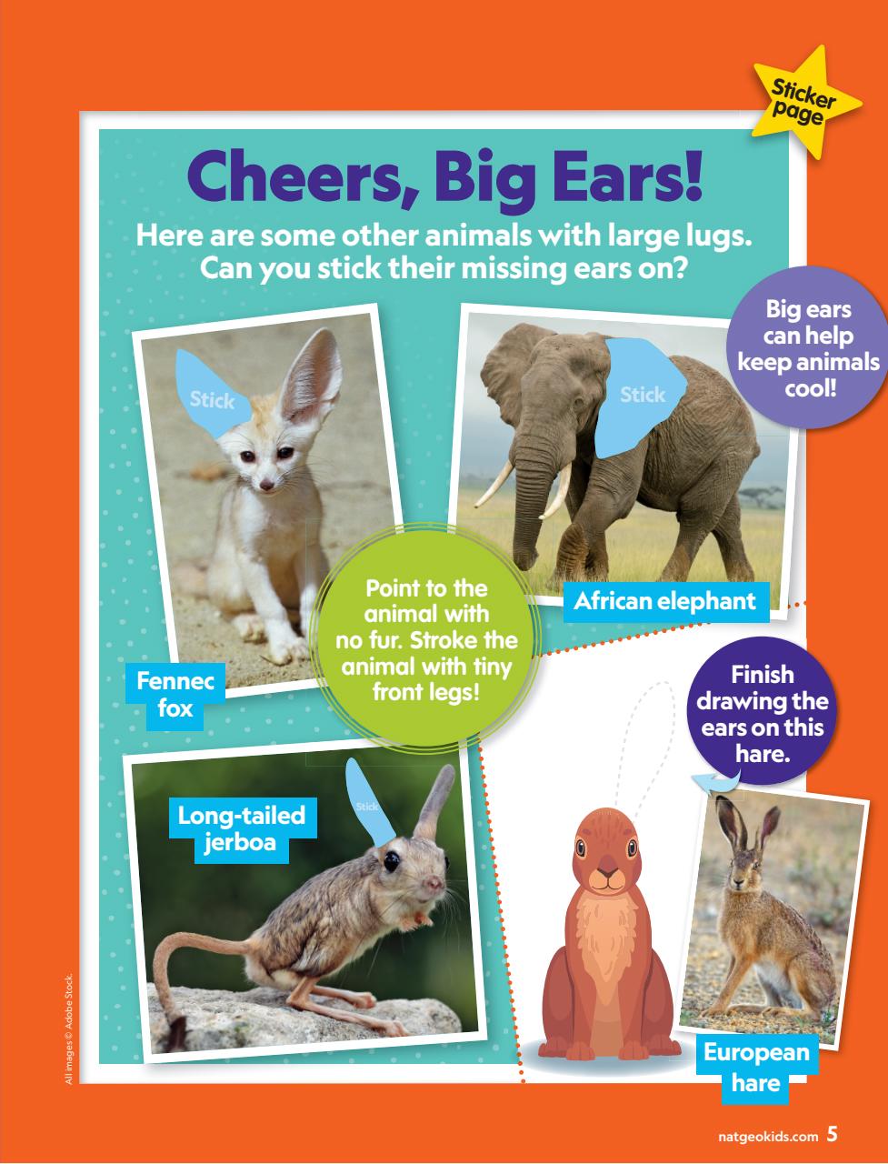 National Geographic Little Kids Preview Pages