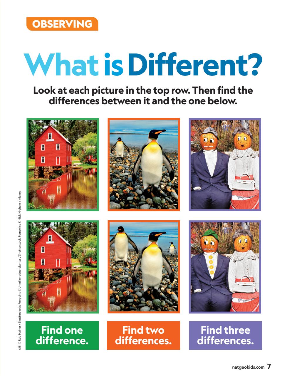 National Geographic Little Kids Preview Pages