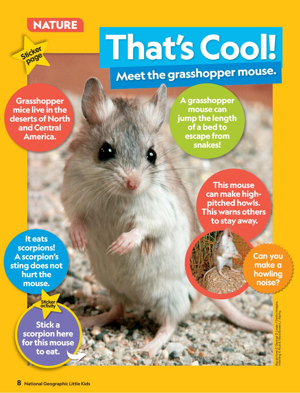 National Geographic Little Kids Preview Pages