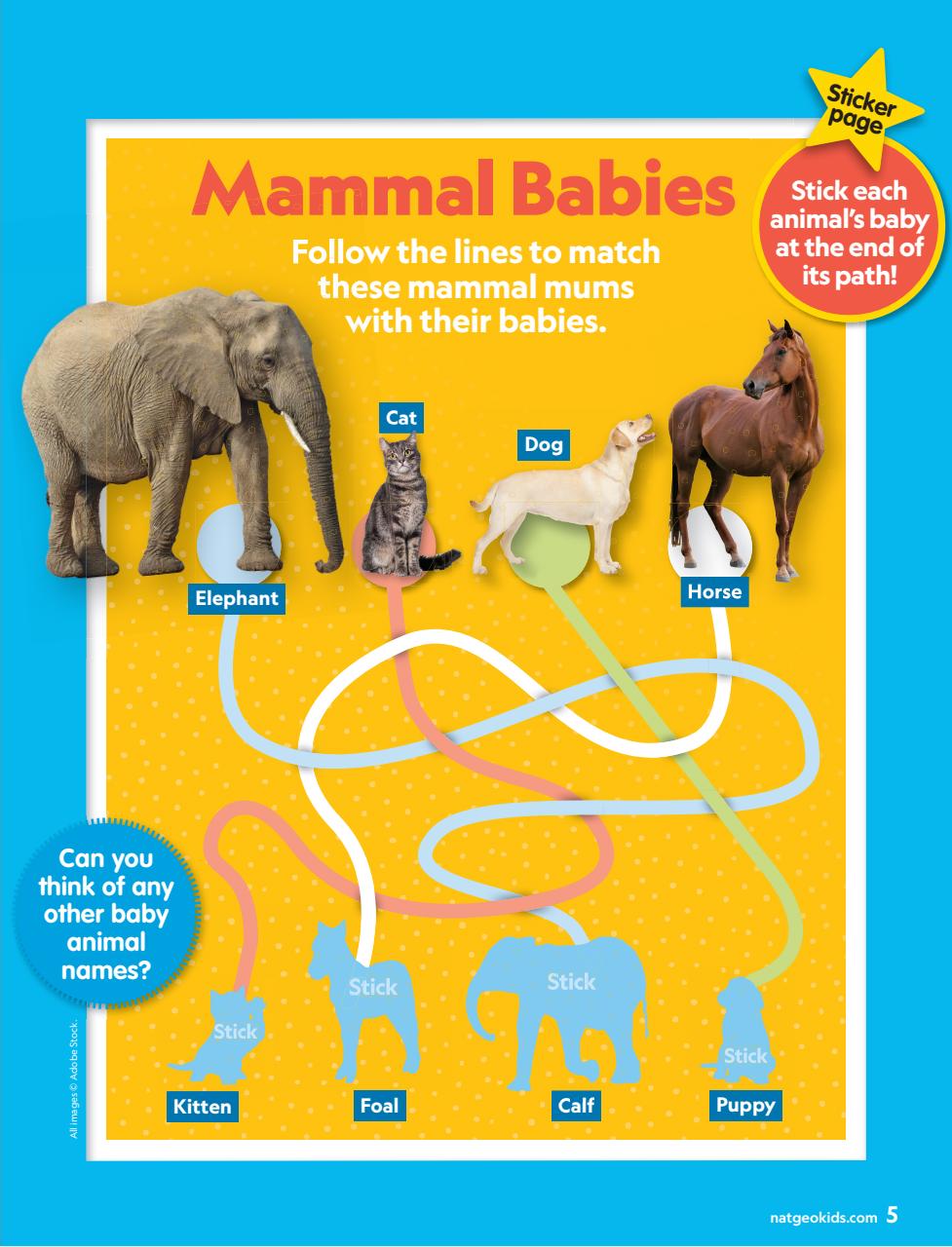 National Geographic Little Kids Preview Pages