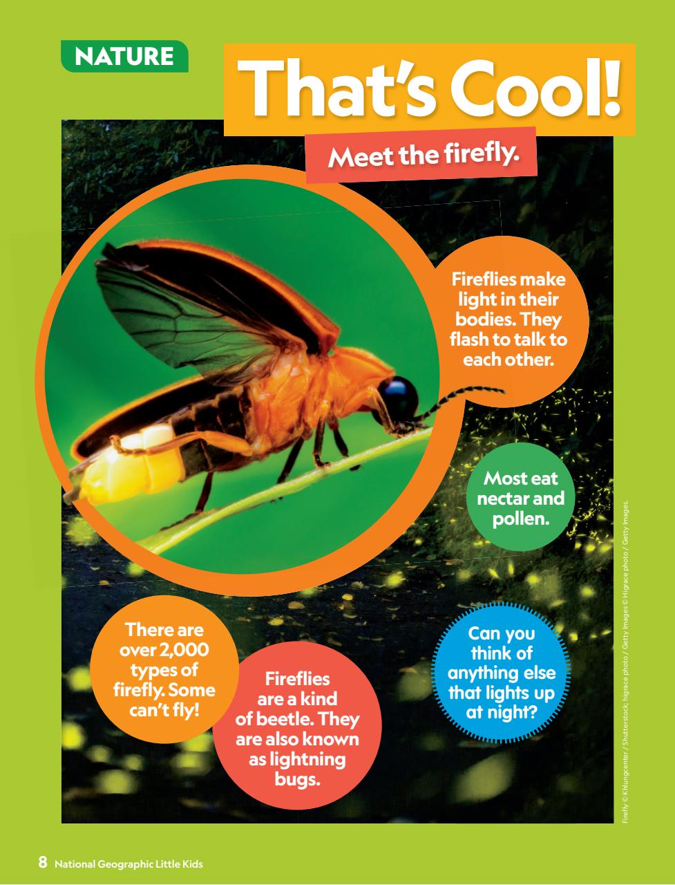 National Geographic Little Kids Preview Pages