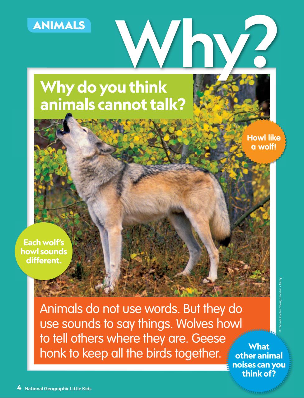 National Geographic Little Kids Preview Pages