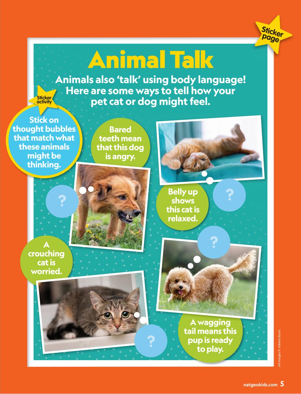 National Geographic Little Kids Preview Pages