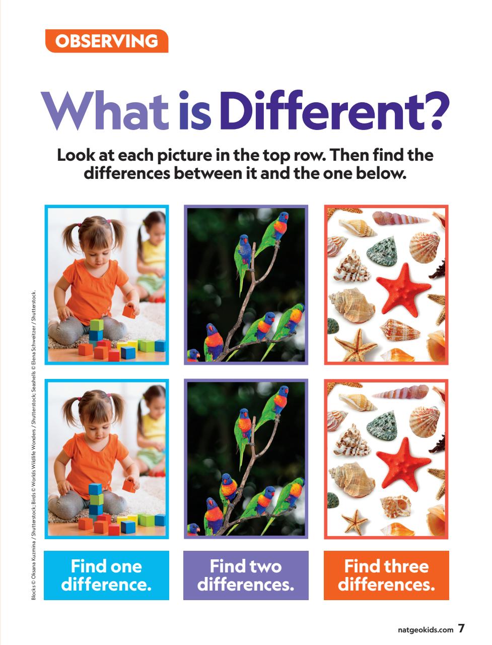 National Geographic Little Kids Preview Pages