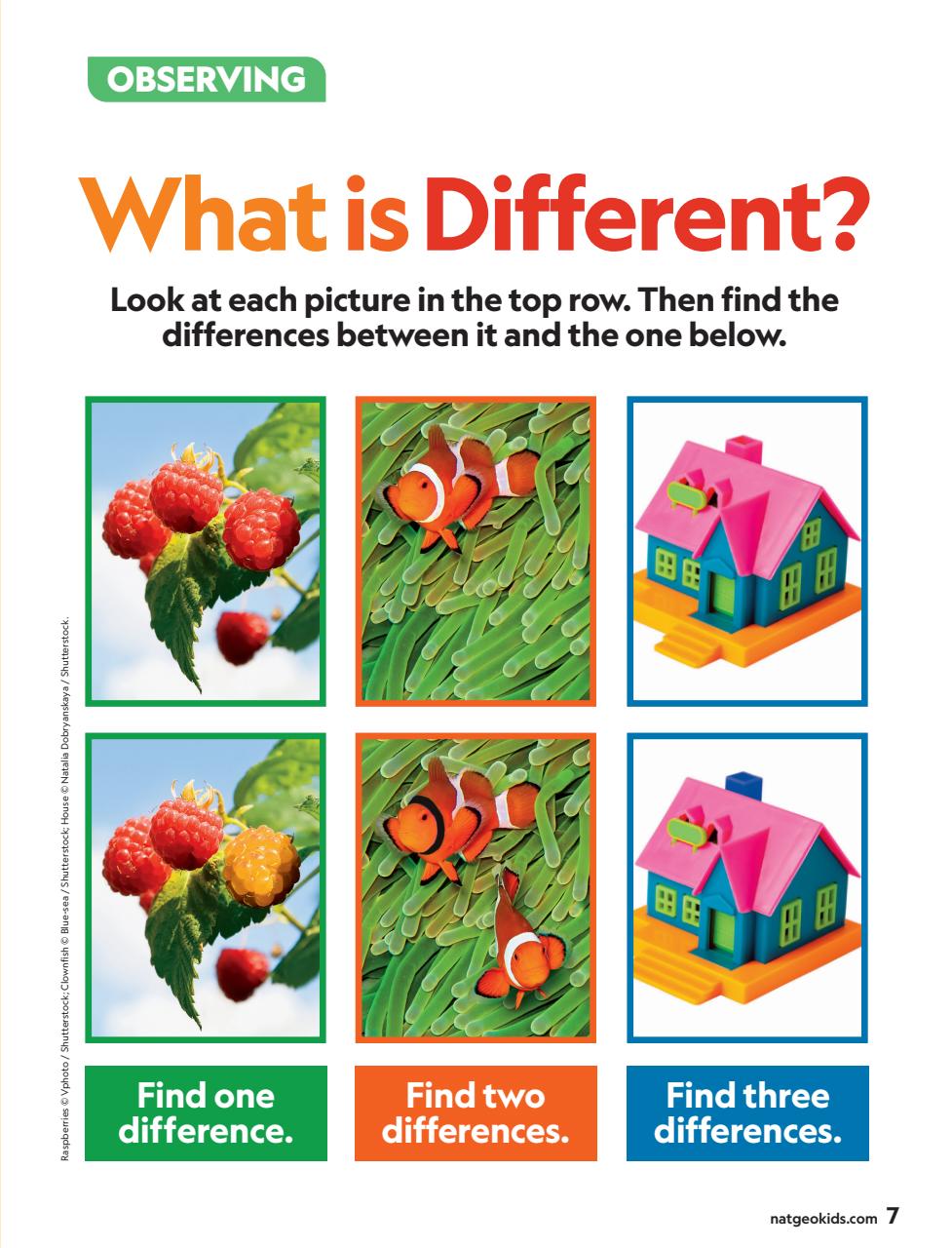 National Geographic Little Kids Preview Pages